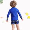 2025 Boys' Shark Print Long Sleeve Two-Piece Swimsuit Set