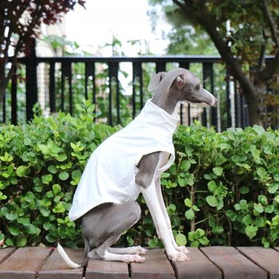 Giyim ve ayakkabı – Köpekler için yelekler ve gömlekler