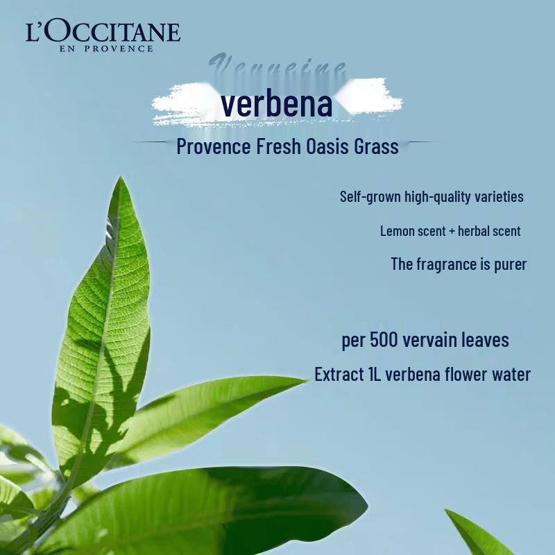 L'Occitane Verbena Shower Gel Set