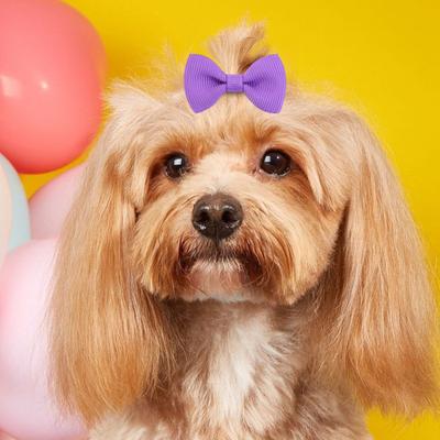 Puppy Dog Hair Bows with Rubber Bands Handmade Small Bowknot Dog Hair Accessories Pet Grooming Supplies