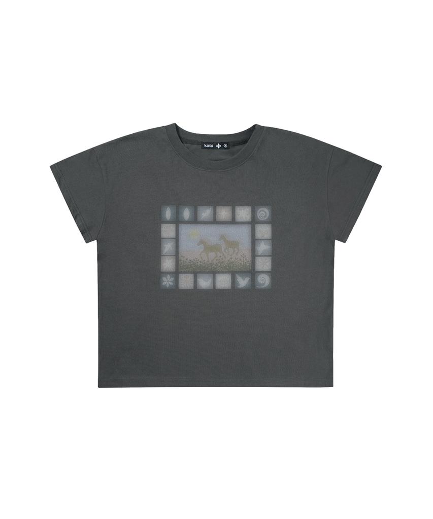 KAIFAI Pio Short Sleeve T-Shirt (Charcoal) K26Qb236