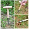 1 Pcs Horticultural Potted Plant Tool Syringe Seeder Multifunctional Small Vegetable Flower Seed Seedling Tray Succulent Sowing