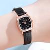 Watch Belt, Simple Temperament, Light Luxury, Small And Exquisite Women'S Square Watch, Support