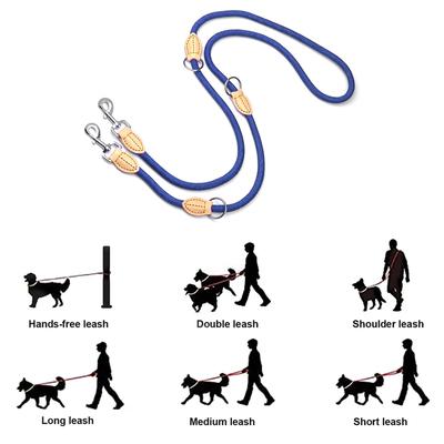 Perros – Collares y correas