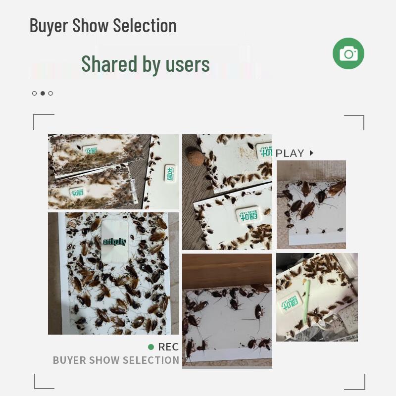 Green Leaf Scented Cockroach Sticky Traps (10-Pack)