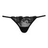 Bluebella Womens/Ladies Floral Mesh Briefs