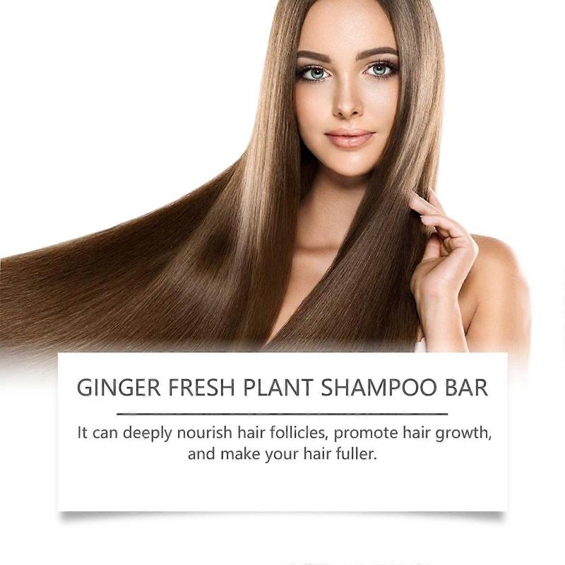 Ginger Shampoo Scalp Daily Cleansing Frizzy Hair Nourishing Soap Soap