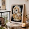 DIY Owl Pearl Art Painting for Adults/Beginners Gift Home Decor Pearl Gem Paintings Picture Arts Craft 30x40cm Without Frame