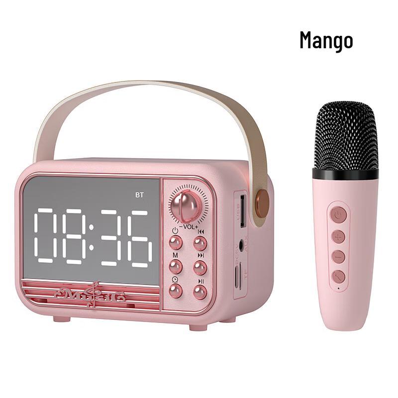 Wanwu S11K Retro Bluetooth Karaoke Speaker