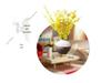 Vaso in Ceramica Wabi-Sabi: Composizione floreale idroponica minimalista per soggiorno o decorazione interna