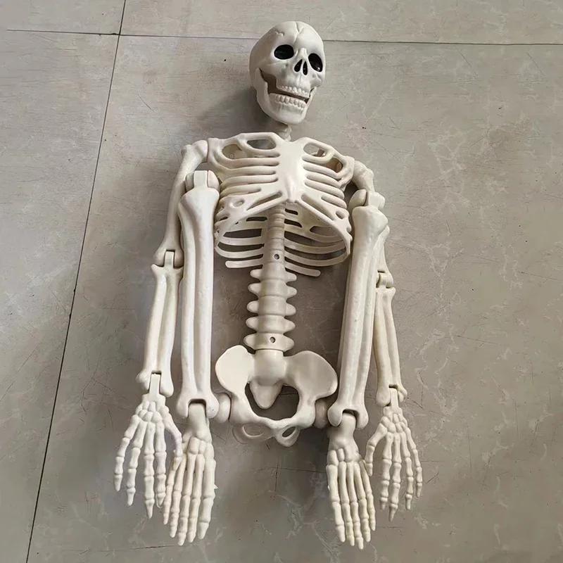Movable Skeleton Fake Human Skull Bones Party Home Bar Decorations Haunted House Horror Props Ornament Toys