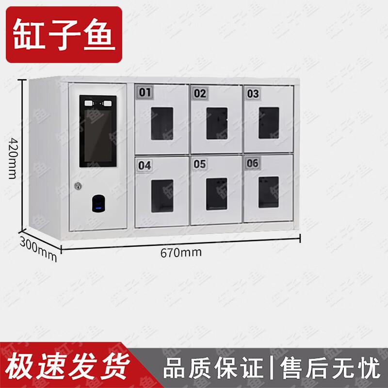 Smart Phone Biometric Security Cabinet
