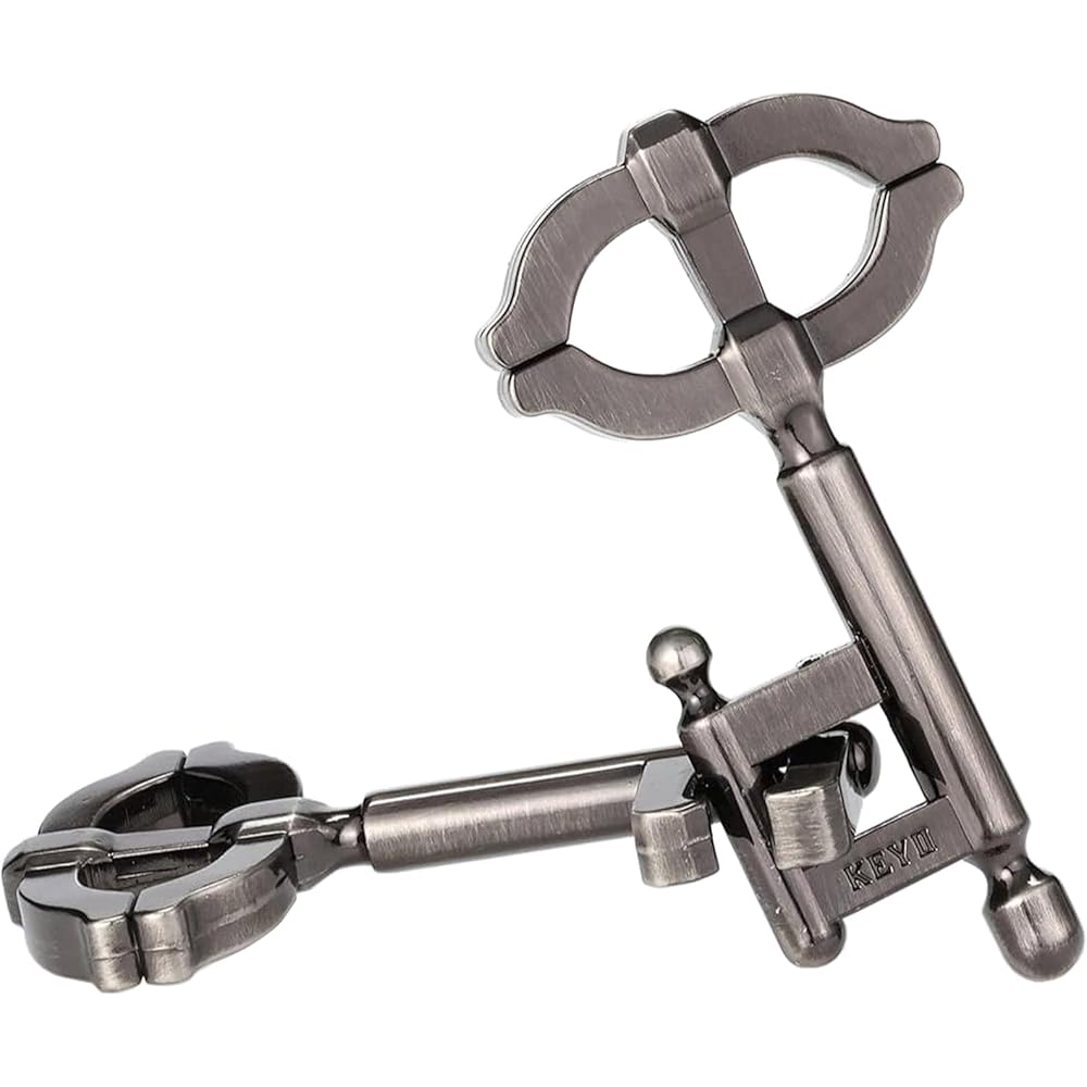 

Hanayama Cast Key II Puzzle Level 2 Brain Teaser Game for Adults and Kids