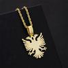 Elegant Albania Accipiter Statement Necklace With Full Zircon Embellishment Men Women Jewelry Piece