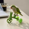 Pedal Activated Bird Toy Parrot Training Bicycle, Funny Bike Toy, Creative Bicycle Green for Birds Intelligent Development Durable