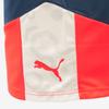 Puma Galleria Puma Men S Athletic fitneSS ShortS Individual viSual Cup aSia Sp