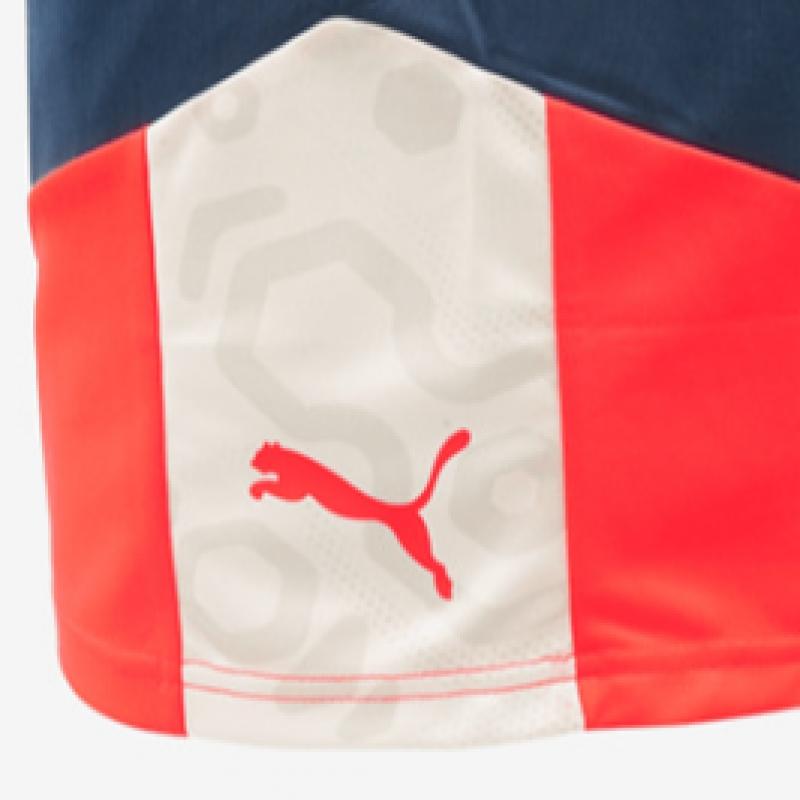 Puma Galleria Puma Men S Athletic fitneSS ShortS Individual viSual Cup aSia Sp