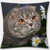 Cat Print Home Decoration Pillowcase Cute Cat Decorative Pillowcase Living Room Sofa Office Seat Cushion Cover