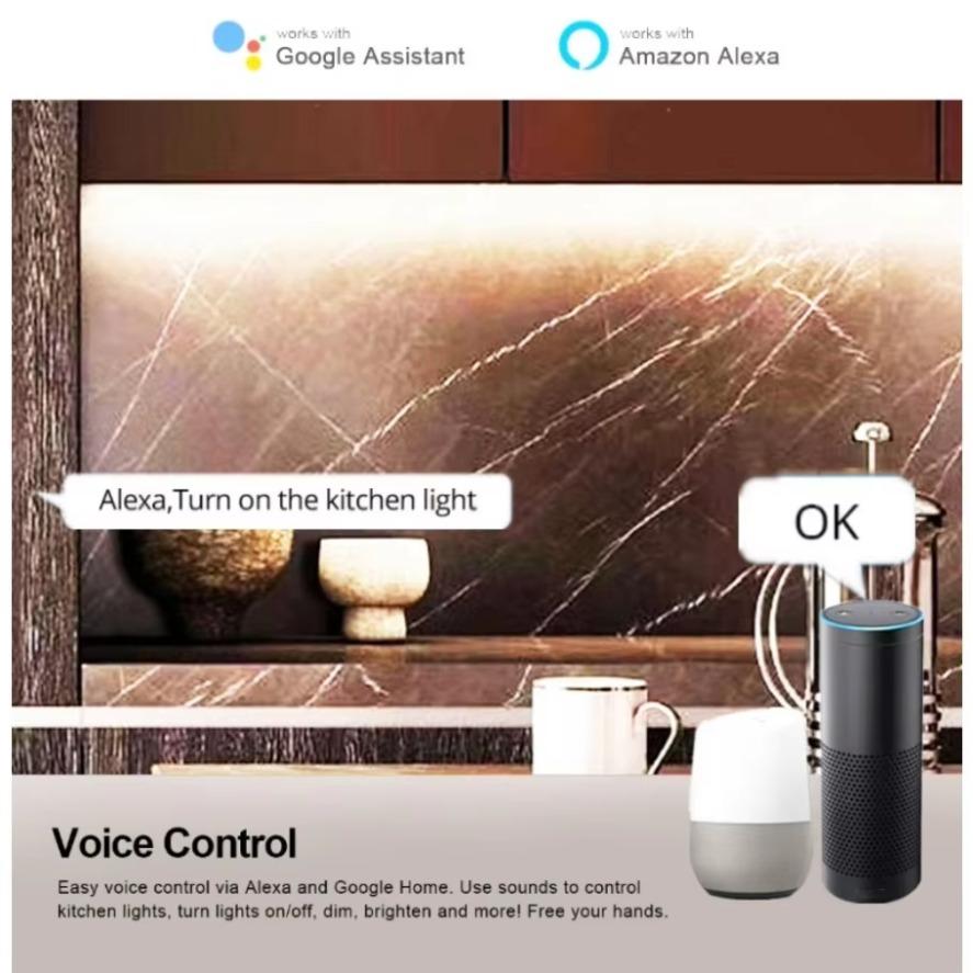LED Power Supply AC175-265V DC 24V Dimmer Transformer Tuya Zigbee Support Alexa Gooogle Voice APP Control For Home CCT LED Strip