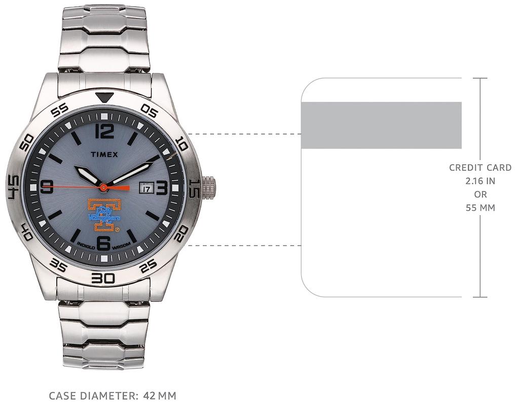 [Timex Group] Watch Timex Tribute Collegiate Citation 42mm University Citation. TWZUVOLMLYZ Silver