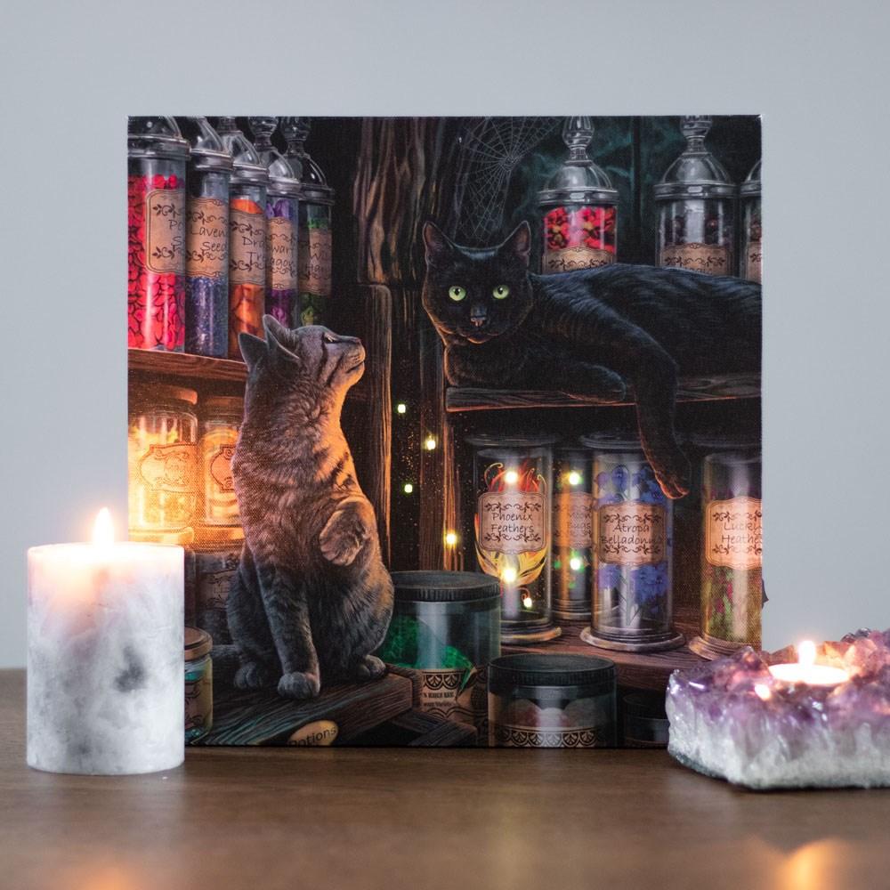 Lisa Parker Magical Emporium Canvas Framed Plaque