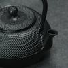Japanese Iron Tea Pot with Stainless Steel Infuser Cast Iron Teapot Tea Kettle for Boiling Water Oolong Tea ZM1031