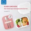LocknLock Heat-Resistant Glass Lunch Box & Storage Container