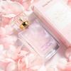 50ml – wie abgebildet