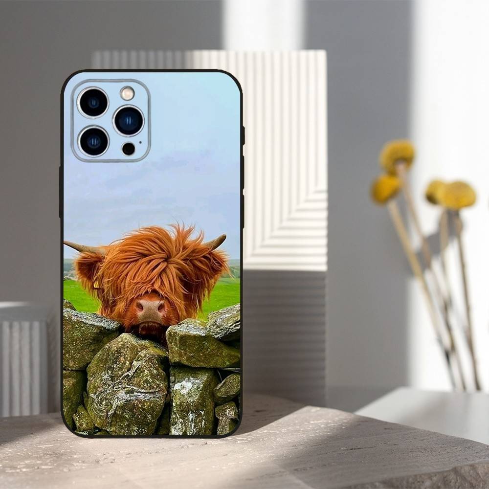Cute Art Highland Cow For iPhone 12,14,13,15,16,11,17,X,Mini,XR,SE,XS,Plus,Pro,Max,8,7,Soft Silicone Black Case