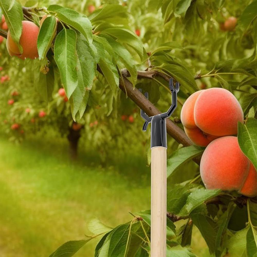 5Pcs Metal Fruit Tree Branch Crutch Plant Branch Support Decorative Branches Bracket Tree Support Device Tool Reusable