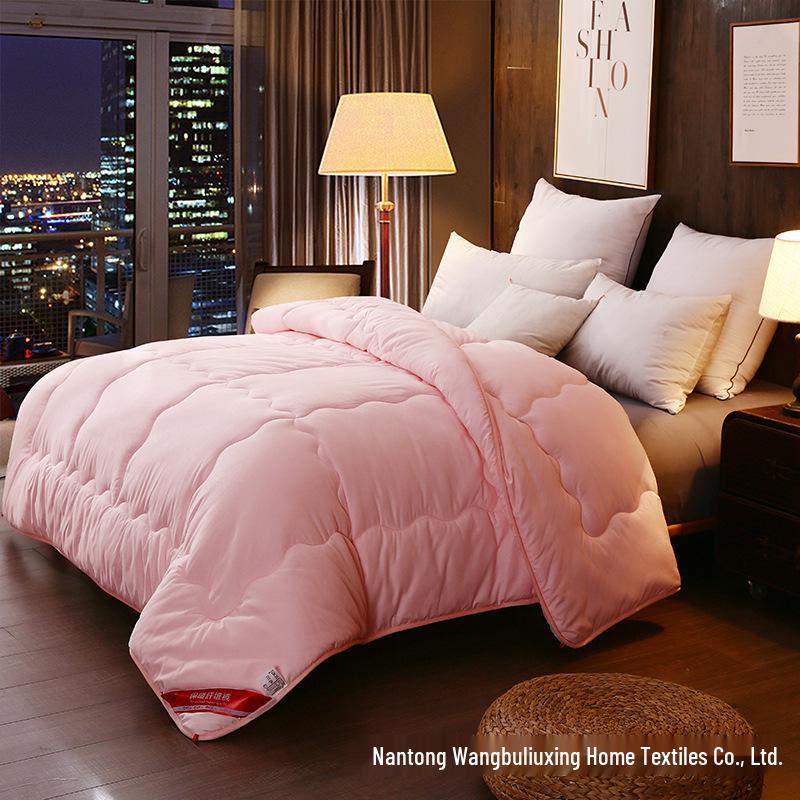 Brushed Comforter: Thickened Silk Cotton Quilt for All Seasons