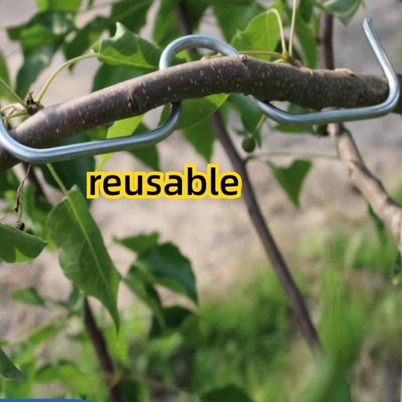 [50 buc Tragător Metalic de Ramuri] 50 buc Instrument Durabil Metalic pentru Tragerea Ramurilor de Grădină - Îndoitore Reutilizabil pentru Ramuri de Pom Fructifer pentru Modelarea și Antrenarea Arborilor