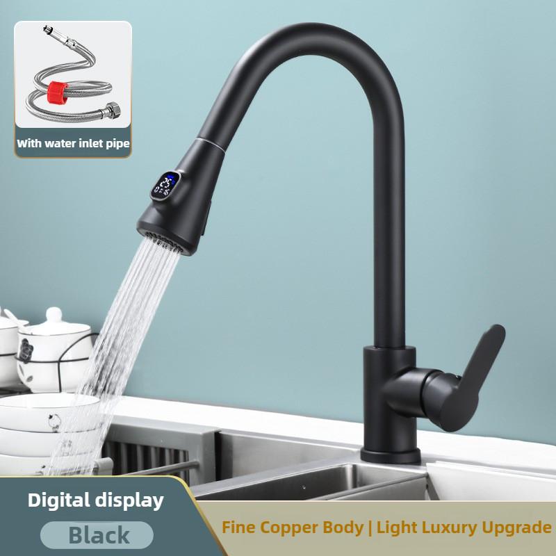 304 Household Kitchen Dual Mode Sink Faucet Stainless Steel Pull-out Washing Basin Bathroom Water Tap