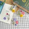 40pcs DIY Transparent Bookmarks for Dried Flowers (Pressed Flowers Excluded)
