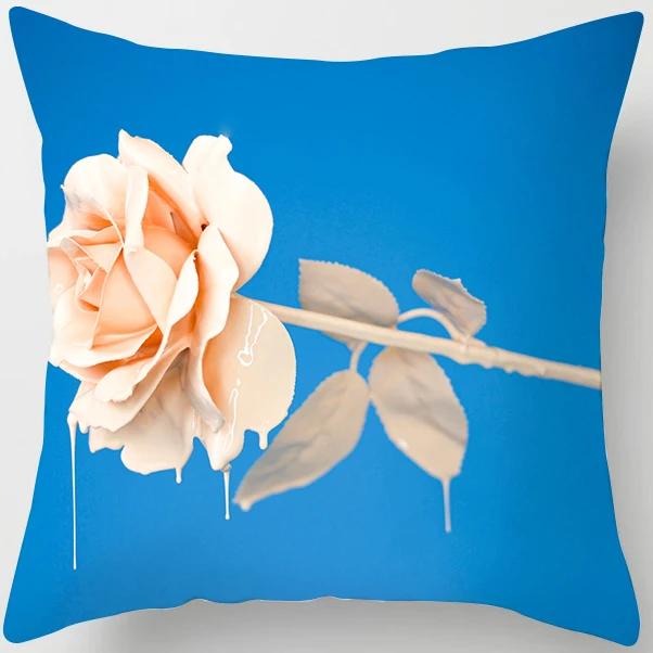 Peach Skin Pillowcase Home Decor  Candy Color Macaron Print Car Sofa Pillow Cushion Cover