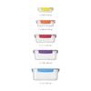 Joseph Joseph Nest Lock Plastic Food Storage Container Set with Lockable Airtight Leakproof Lids, 10-Piece Set, Multicolor
