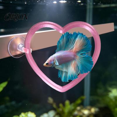 Betta Fish Interaction Toy 1/3Pcs Exercise Ring with Suction Cup, Training Aquarium Landscaping Supplies Feeding Ring, Tank Enrichment Toy,