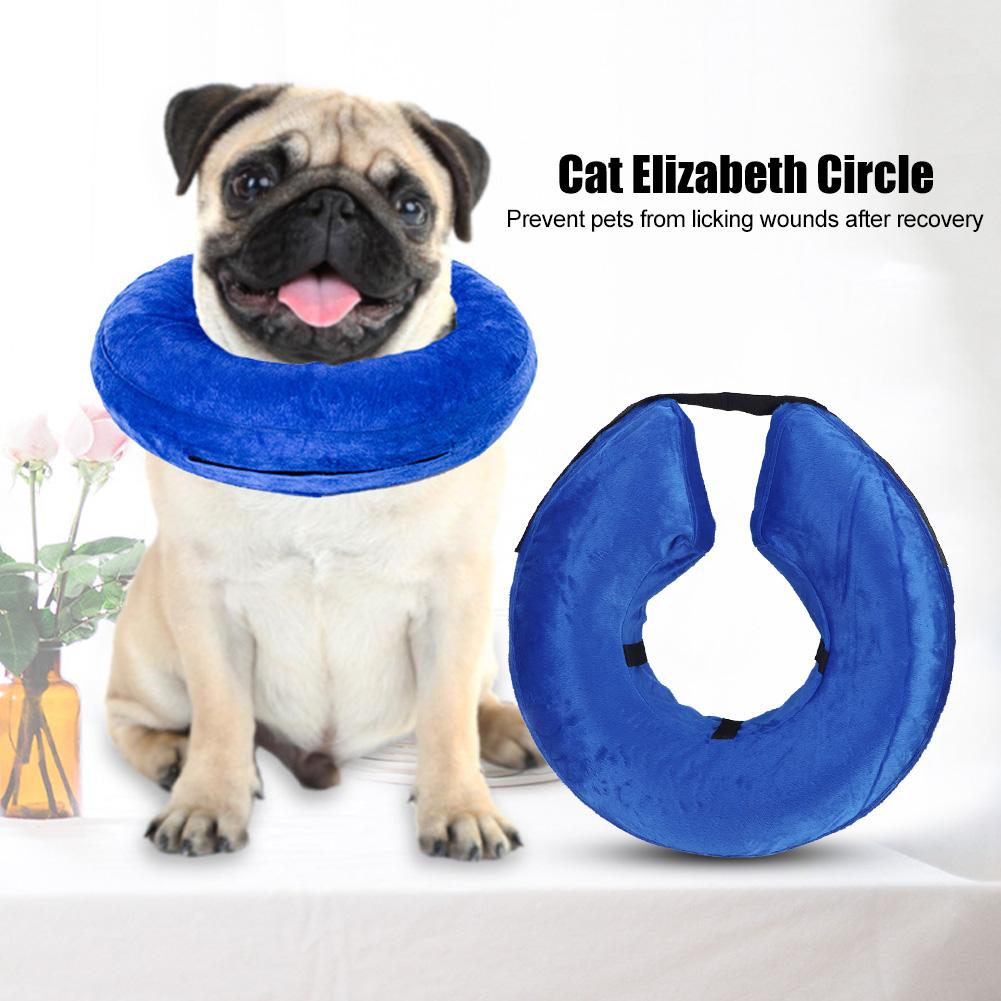 dog lampshade collar