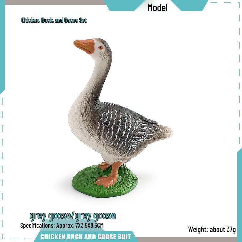 Cross-Border Farm Simulation Poultry Model for Children s Education – Chicken, Duck, Goose, Rooster, Mallard Decoration