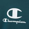 Champion Forest Grass Long Sleeve Terry Hooded Script Tech Men's Sweatshirt, Quick-Drying, Stretch, Logo, Weave® (C3-BS120)