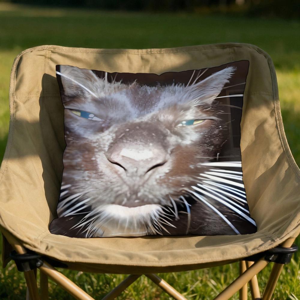 memes Cushion Cover Soft Reversible Durable Pillow Cover MultiScene Use for Home Car Daily Comfort