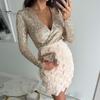 Fringed Hem Cocktail Dress Women Glitter Sequin Party Long Sleeve Deep V-Neck Corset Mini Evening Gown Fall Winter Gala for Prom Night Club