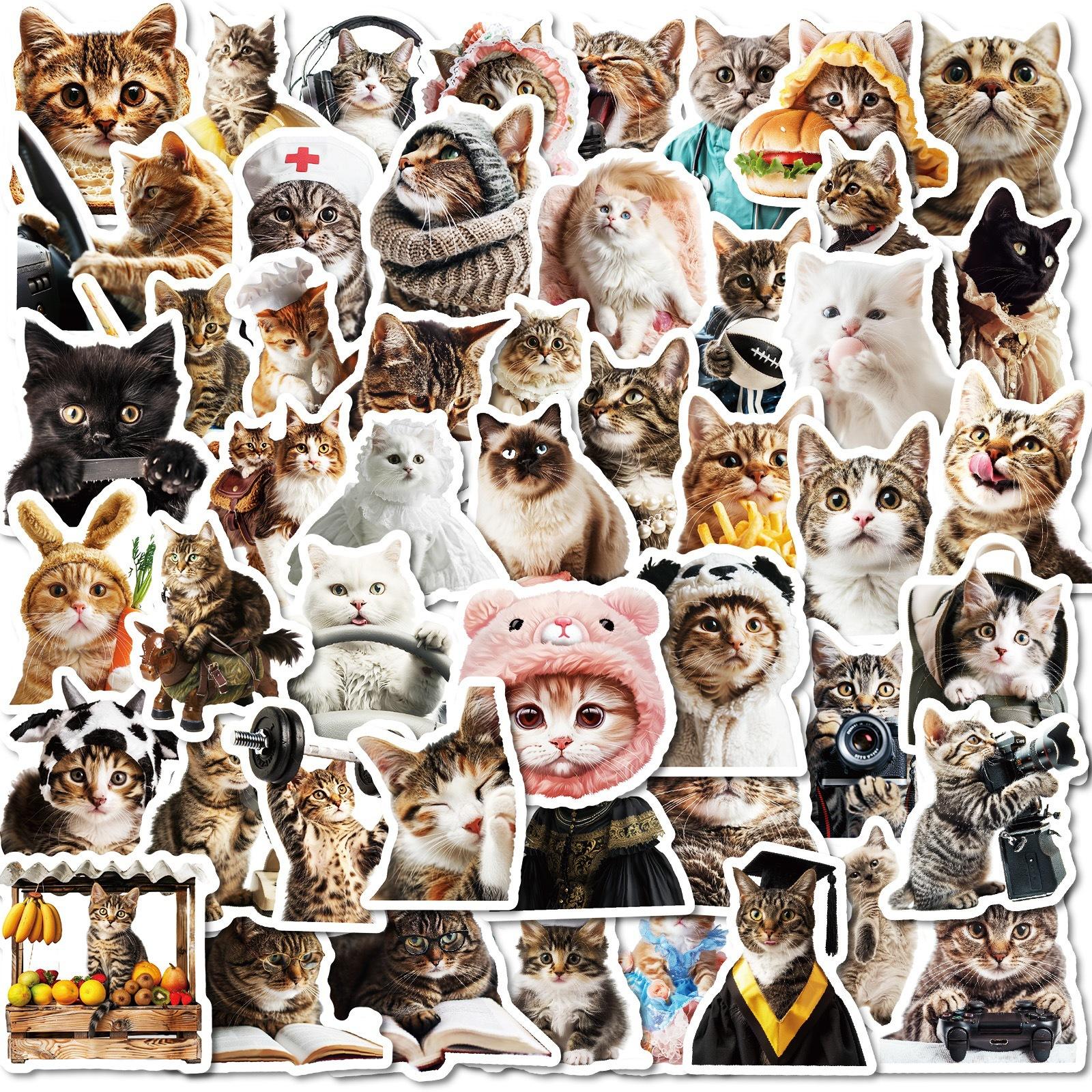 

50 Набор стикеров-эмодзи «Коллекция Китти» Персонализированный Креативный Стикер для Украшения Шлема Электромобиля