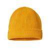 Atlantis Headwear Maple Beanie