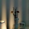 Vaso hidropônico nórdico, ornamentos, vaso de flores, pincel de maquiagem, balde de armazenamento, adereços para fotos, decoração de casa vintage