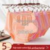 GUJIN 5-pack 10A Antibakteriella Högmidjade Bomullsunderkläder