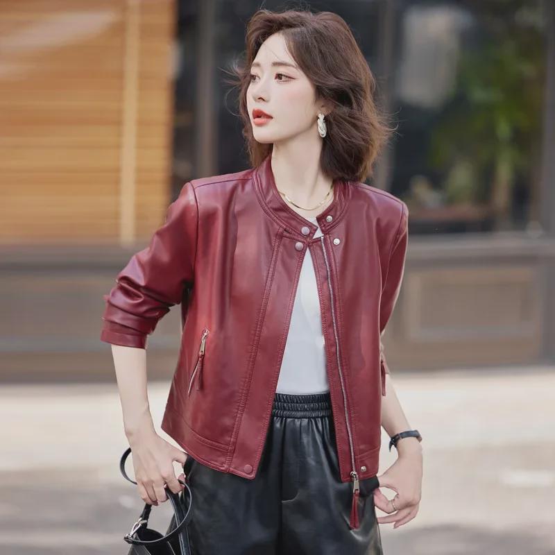 Women's Sheepskin Motorcycle Jacket: Genuine Leather, Stand-Up Collar, Short Style for Spring & Autumn.