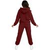 Women's Sweatshirt and Sweatpants Set Long Sleeve Elastic Waist Casual Fall Winter Wear