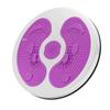 Healthsoo Magnetic Waist Twisting Disc