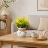 Bonsai Artificial Plants Ornaments Fake Potted Flowers Cute Decorative Potted Plants Office